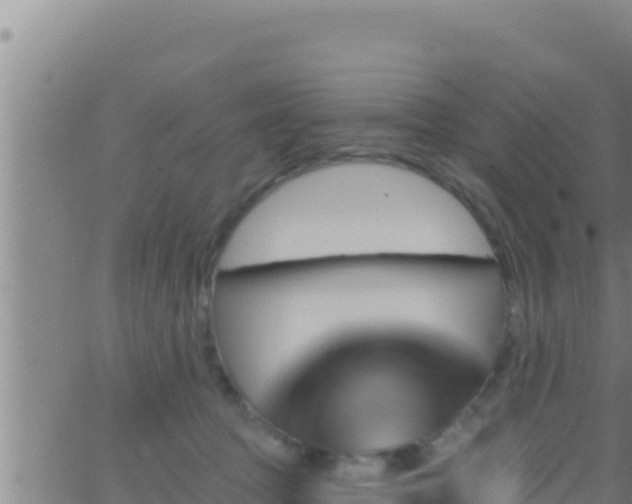 X0000062910369200601201942