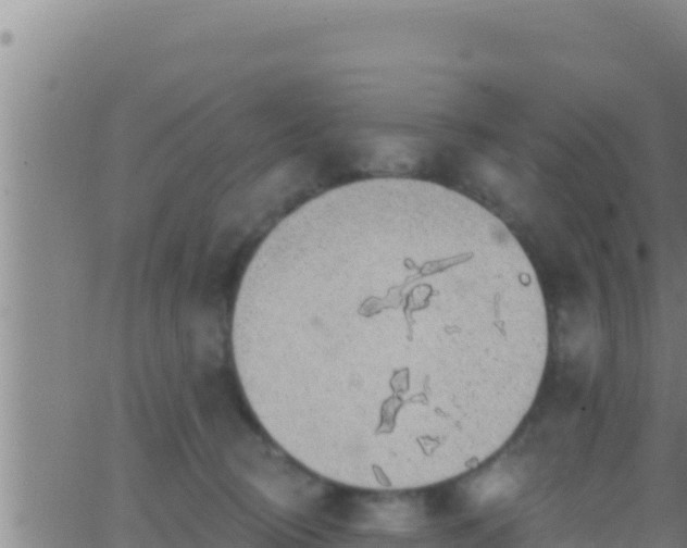 X0000062910370200601201942