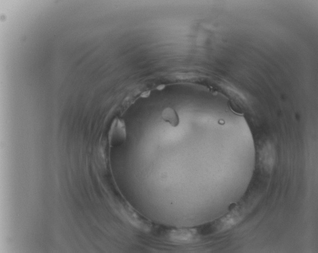 X0000062910373200601201942