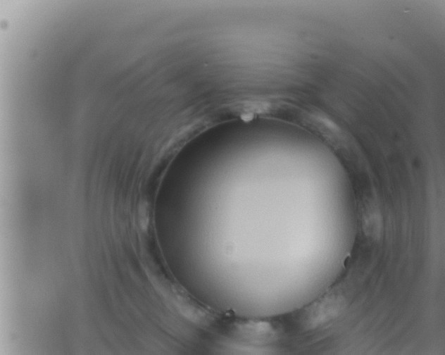 X0000062910374200601201942