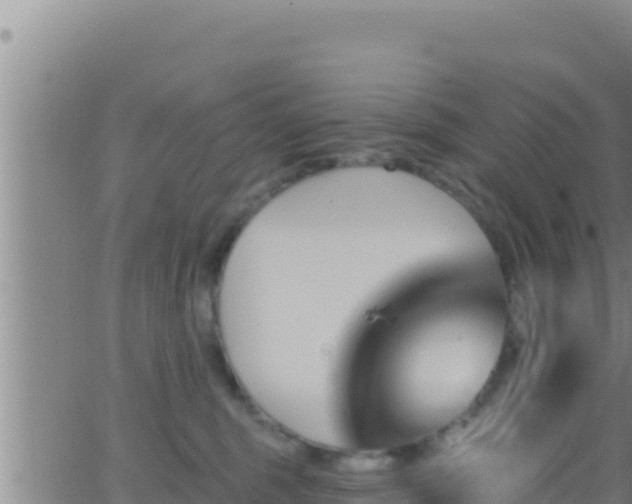 X0000062910375200601201942