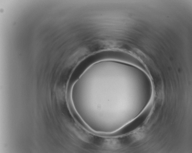 X0000062910376200601201942