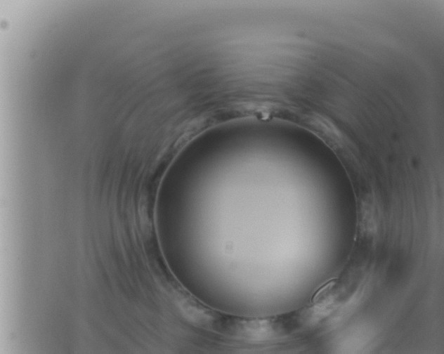 X0000062910377200601201942