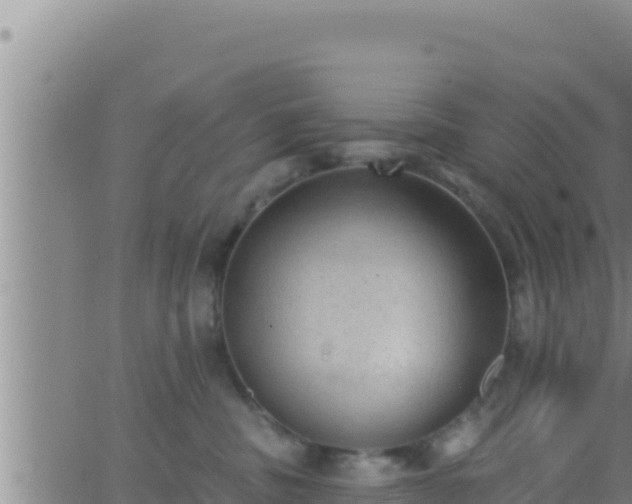 X0000062910379200601201942