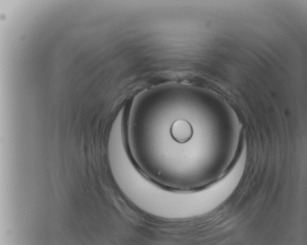 X0000062910380200601201942