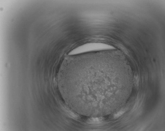 X0000062910381200601201942