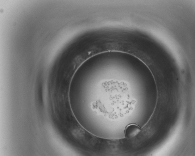 X0000062910382200601201942