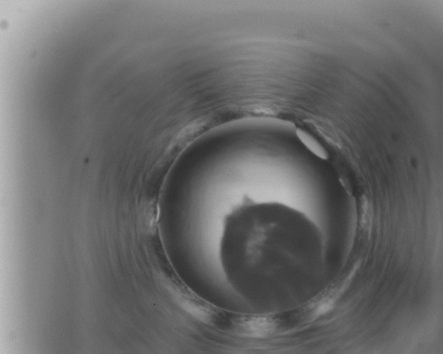 X0000062910383200601201942