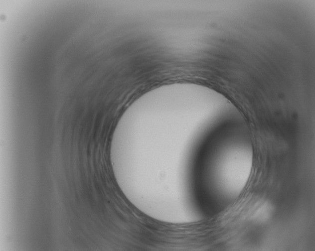 X0000062910384200601201942