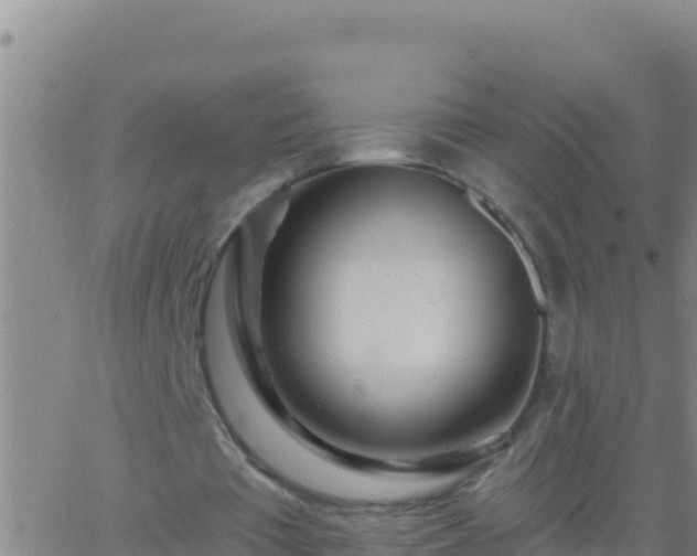 X0000062910385200601201942