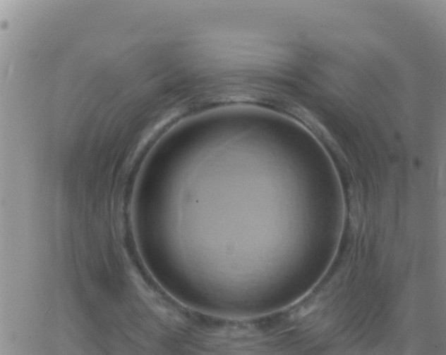 X0000062910386200601201942