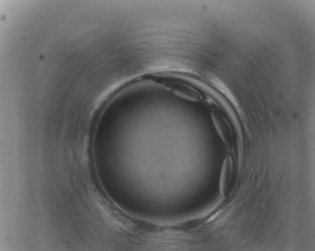 X0000062910387200601201942