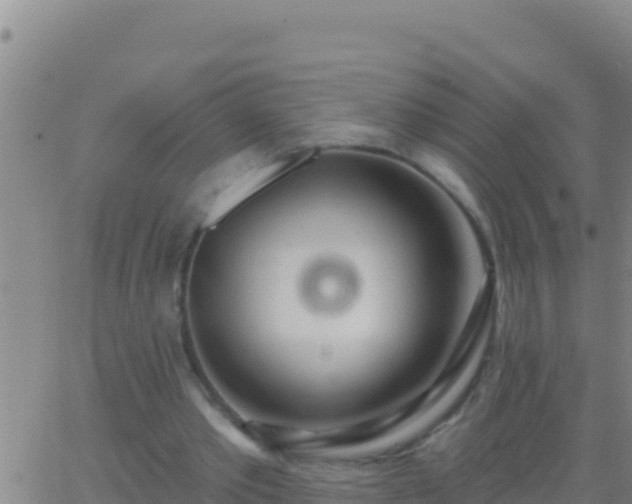 X0000062910389200601201942