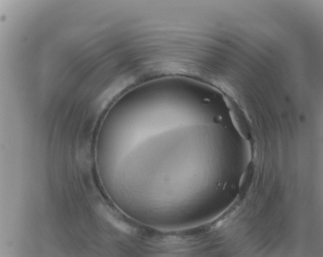 X0000062910390200601201942