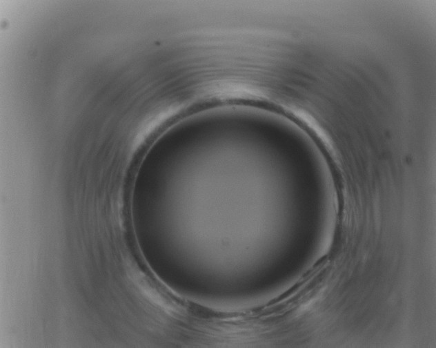 X0000062910391200601201941