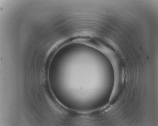 X0000062910392200601201941