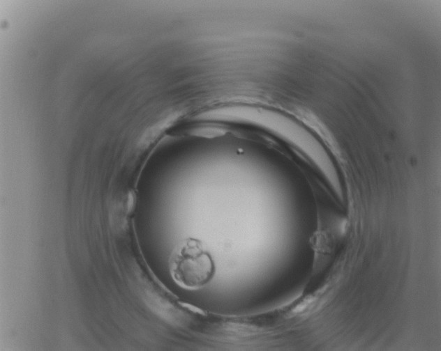 X0000062910393200601201941