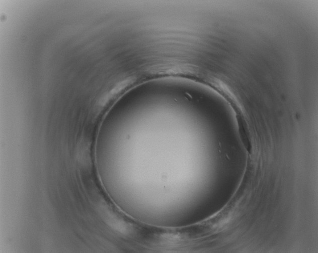 X0000062910394200601201941