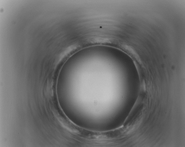 X0000062910395200601201941