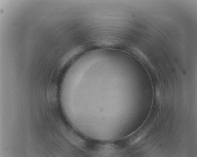 X0000062910396200601201941