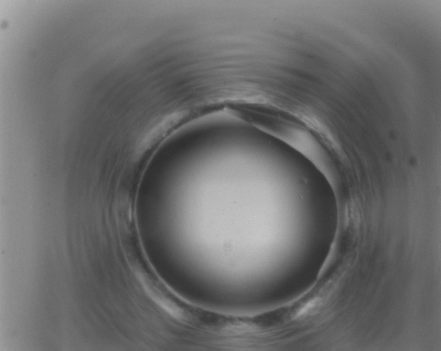 X0000062910397200601201941