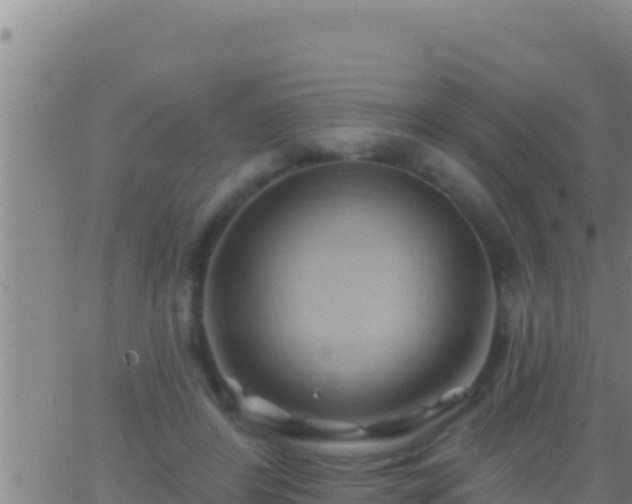 X0000062910404200601201941