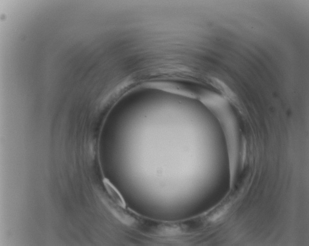 X0000062910405200601201941