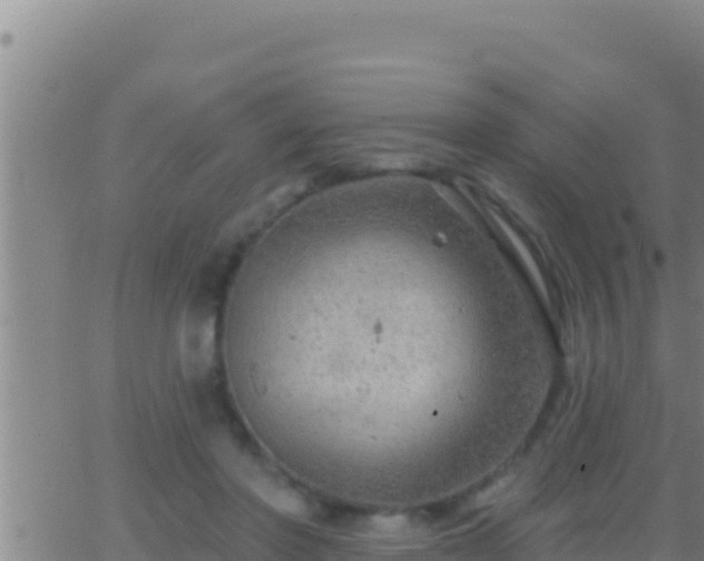 X0000062910406200601201941