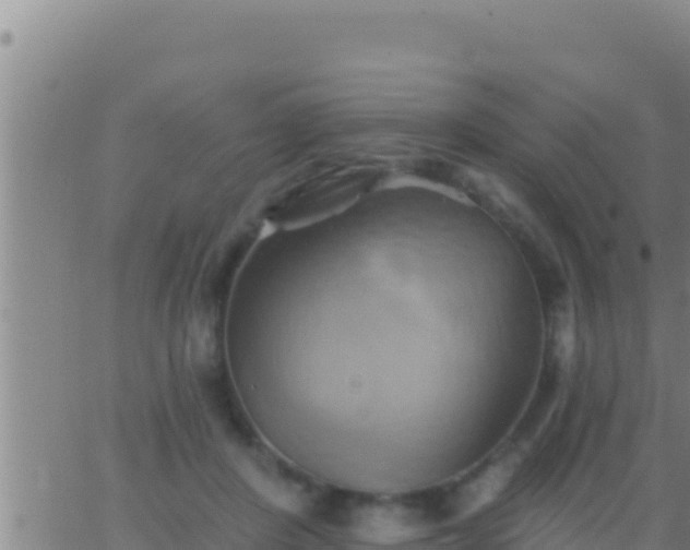 X0000062910408200601201941