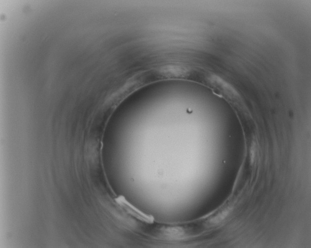 X0000062910409200601201941