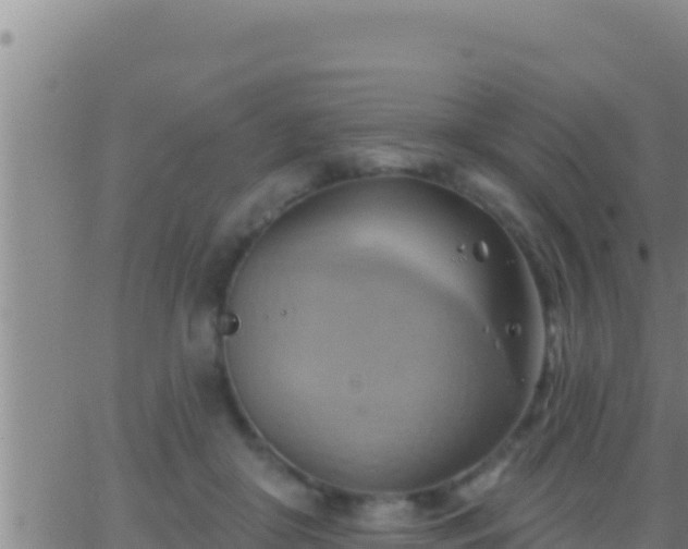 X0000062910410200601201941