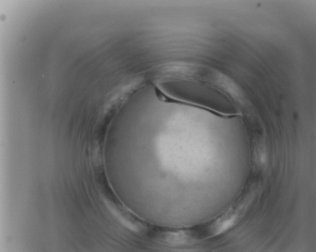 X0000062910411200601201941