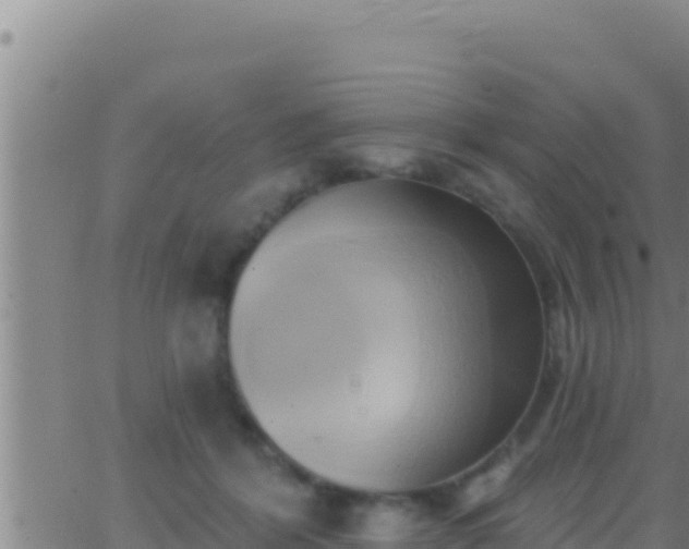 X0000062910412200601201941