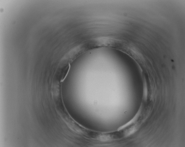 X0000062910413200601201941