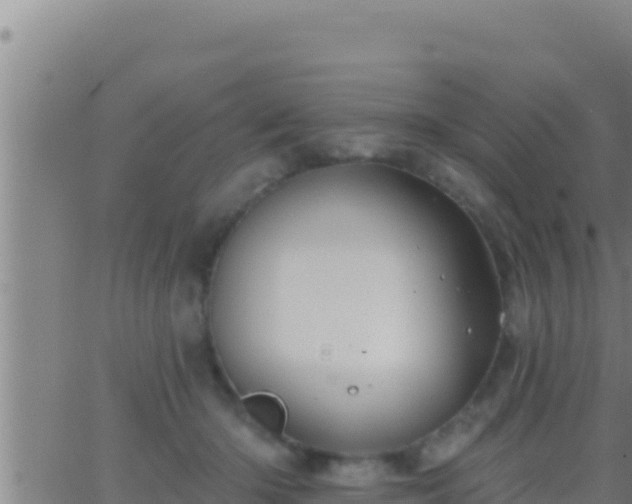 X0000062910414200601201941