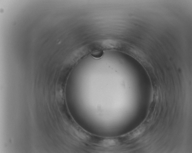 X0000062910418200601201941