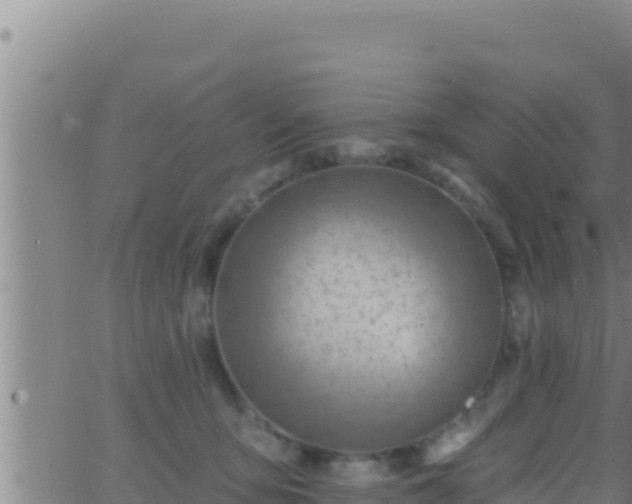 X0000062910419200601201941