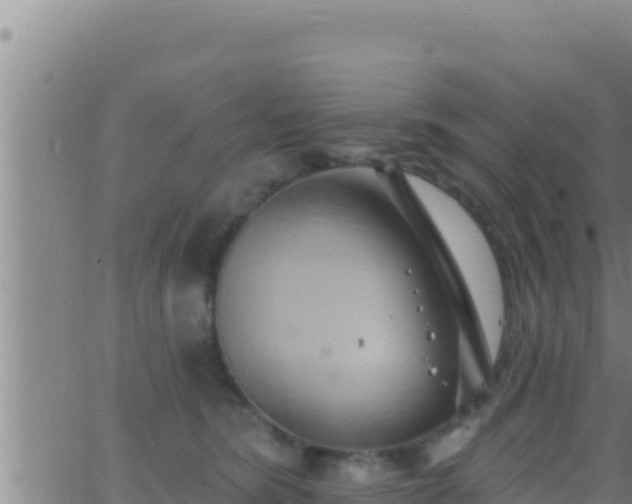 X0000062910420200601201941