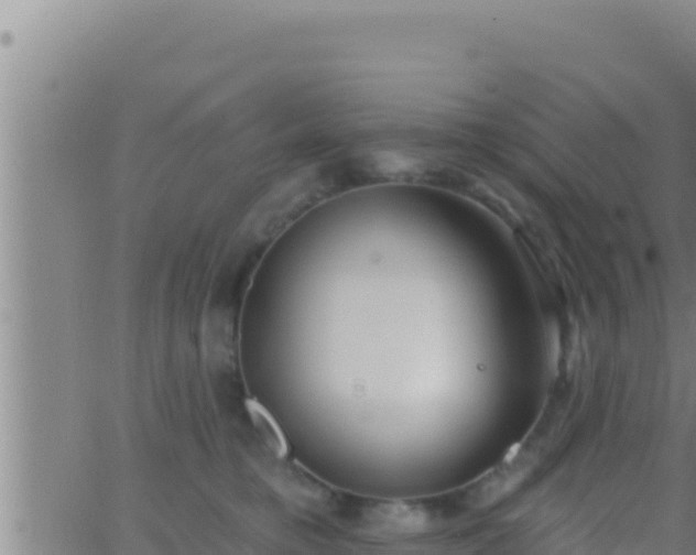 X0000062910421200601201941