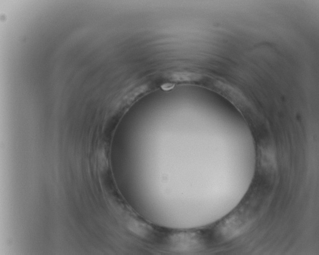 X0000062910422200601201941