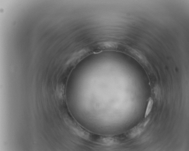 X0000062910423200601201941