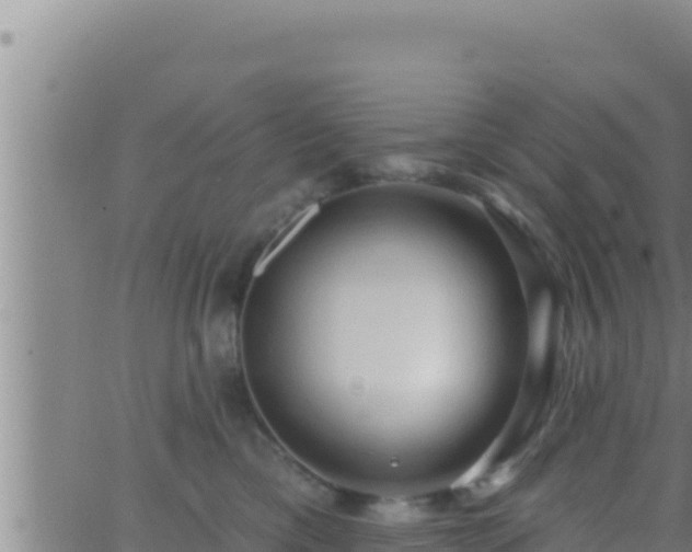 X0000062910425200601201941