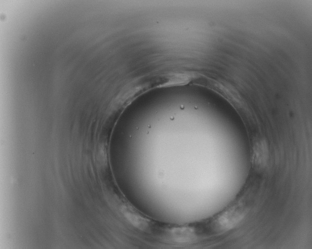 X0000062910426200601201941