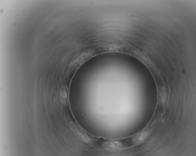 X0000062910427200601201941