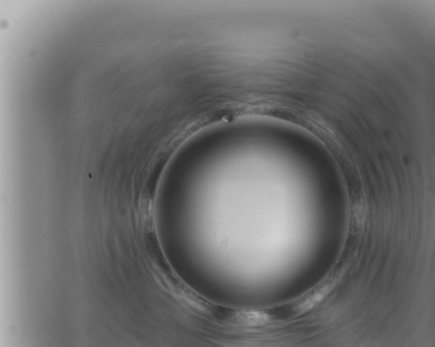 X0000062910429200601201941