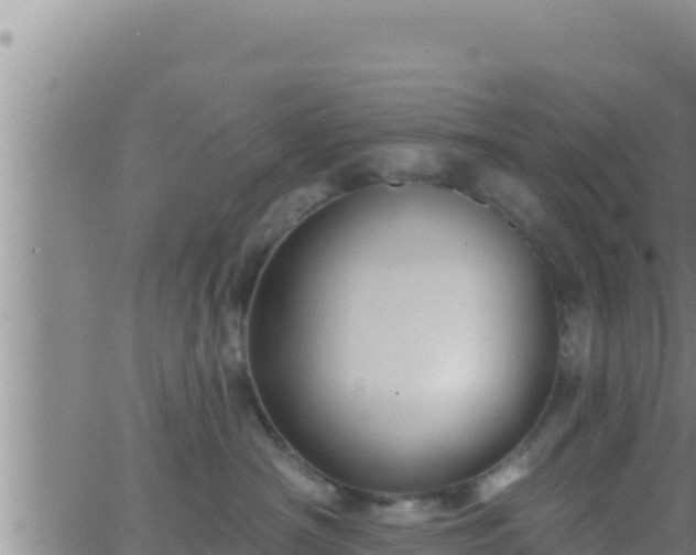 X0000062910430200601201941