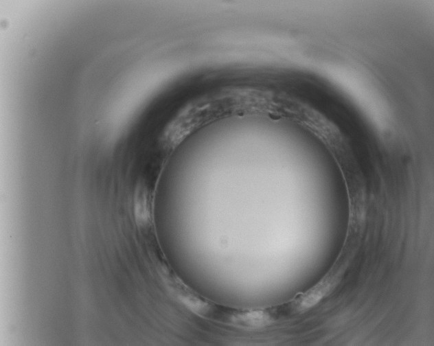 X0000062910431200601201941