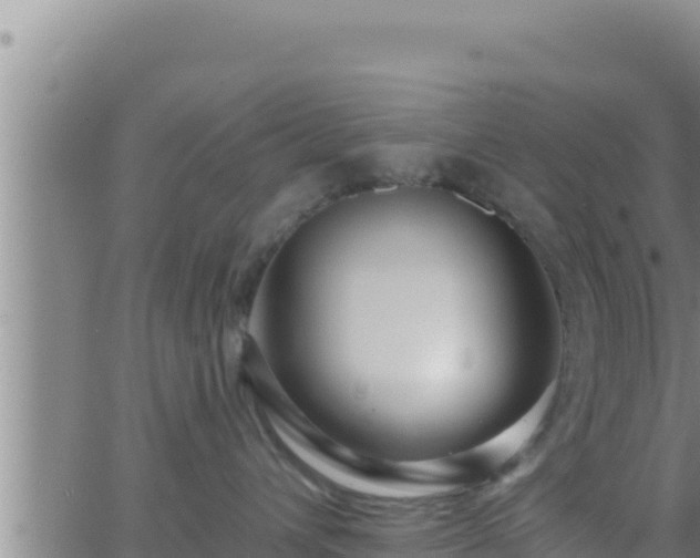 X0000062910432200601201941