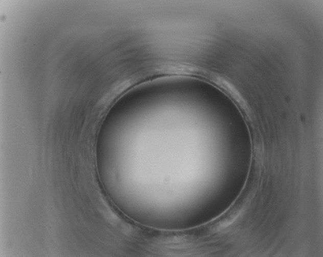 X0000062910433200601201940