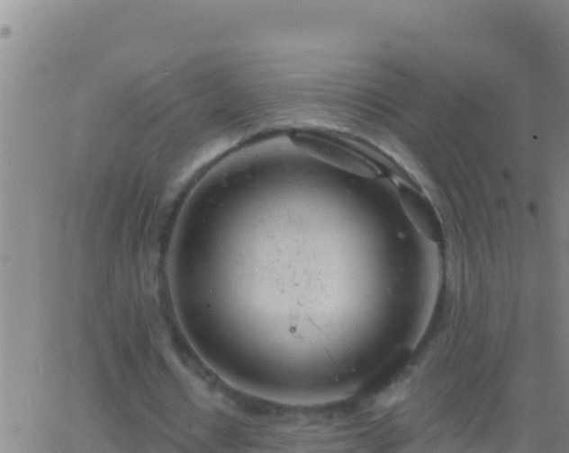 X0000062910434200601201940